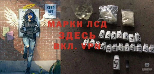 прущие грибы Белоозёрский