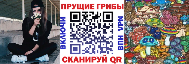продажа наркотиков  Великий Устюг  Псилоцибиновые грибы GOLDEN TEACHER 