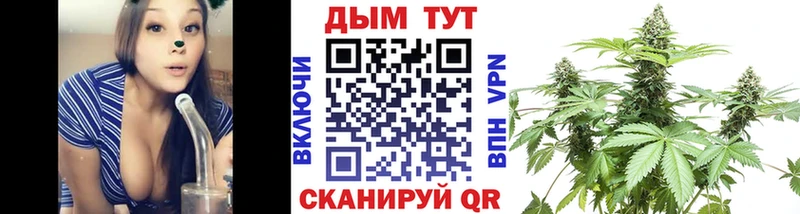 даркнет сайт  Великий Устюг  Каннабис индика 